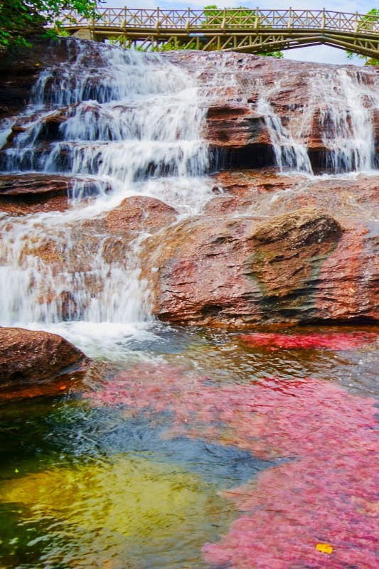 Unique things to do in Colombia - cascada de la virgen caño cristales1 2