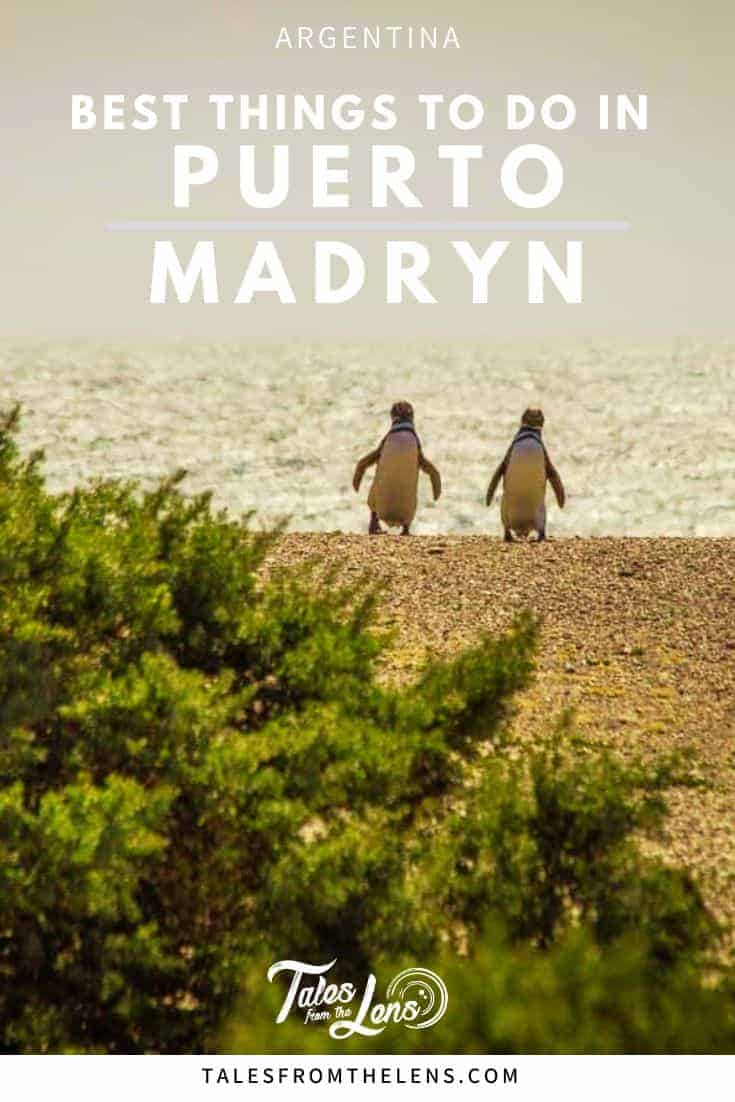 A travel graphic showing two Magellanic penguins walking toward the sea with text that reads "Best Things to Do in Puerto Madryn, Argentina." The image is framed by green bushes and features a soft golden ocean in the background, with the blog branding “Tales from the Lens” at the bottom.
