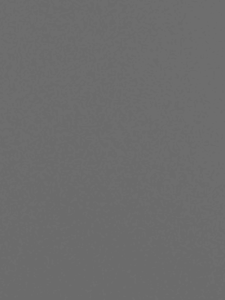 AW 502 Soft Silver