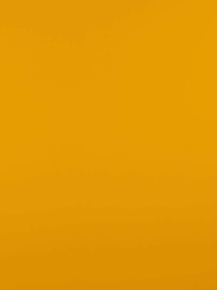 Canary Yellow