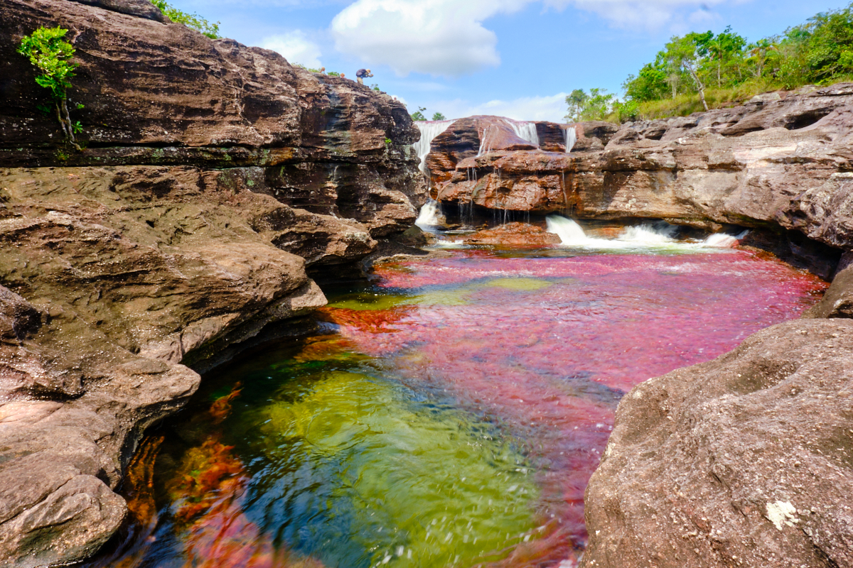 cano-cristales