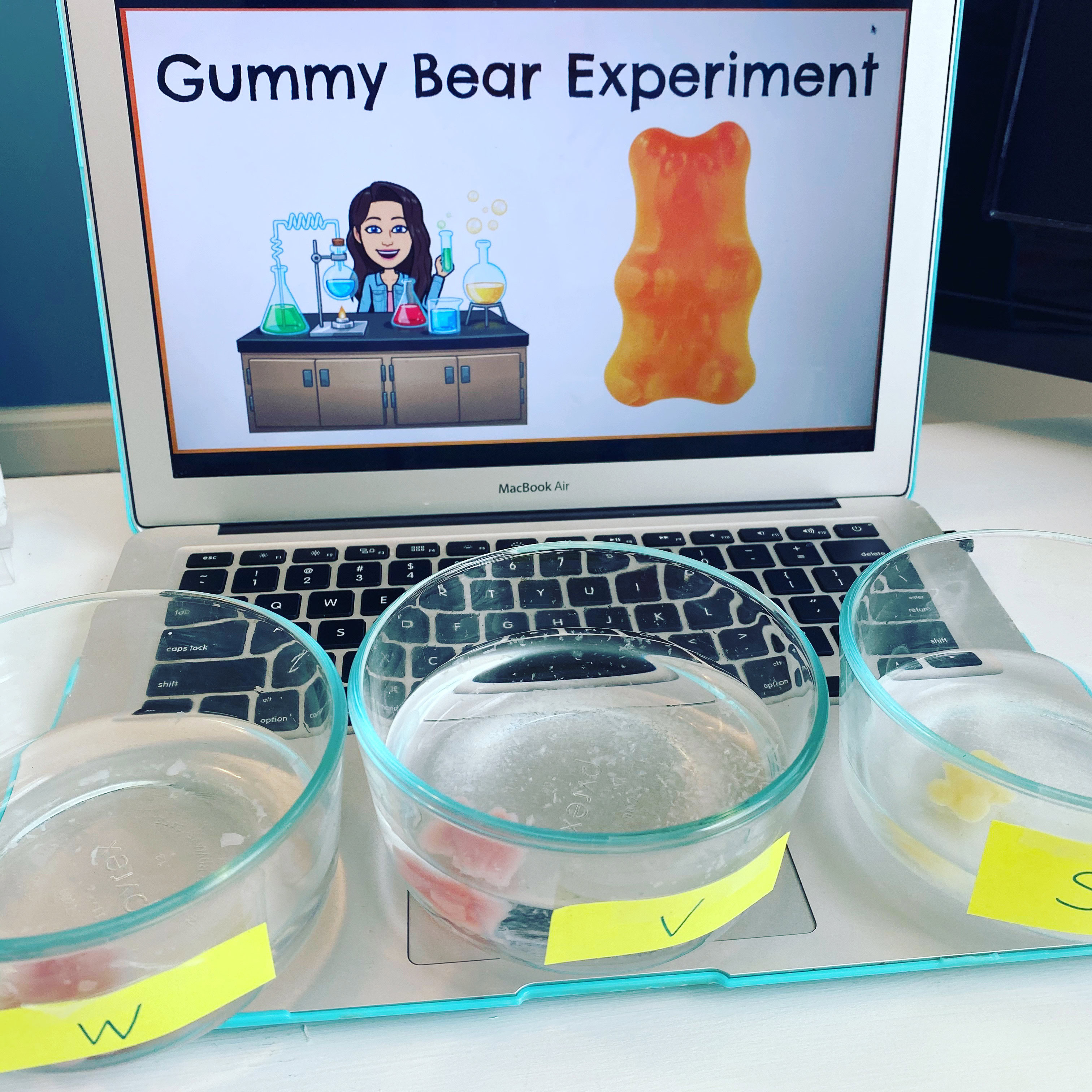 Science Experiment of Gummy Bear Experiment set up with Computer in background!