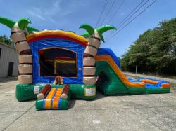 Tropical20Wet20Or20Dry202 1654904042 1