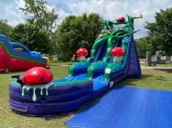 Enchanted20Forest20Water20Slide20Birmingham20AL 1743831575