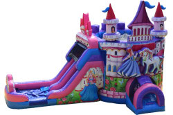 Princess Dual Lane Wet/Dry Combo