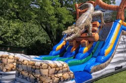 Alligator Inflatable Water Slide 1750778913
