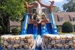 Alligator Water Slide 1750777331