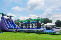 Purple Monster Water Slide 1750838644