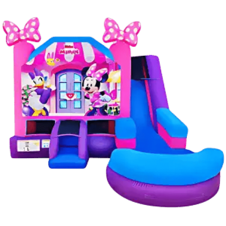 Minnie Mouse Wet/Dry Combo