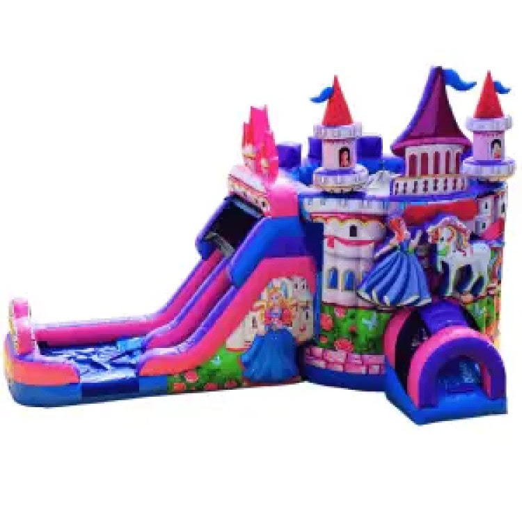 Princess Dual Lane Wet/Dry Combo