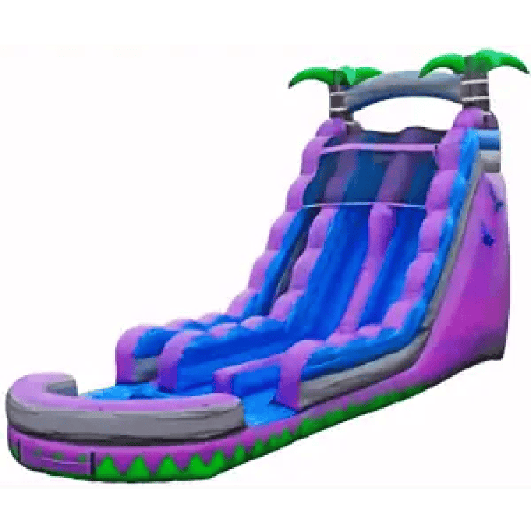 22 FT Purple Crush Dual Lane Slide