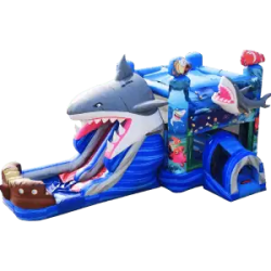 Shark Dual Lane Wet/Dry Combo