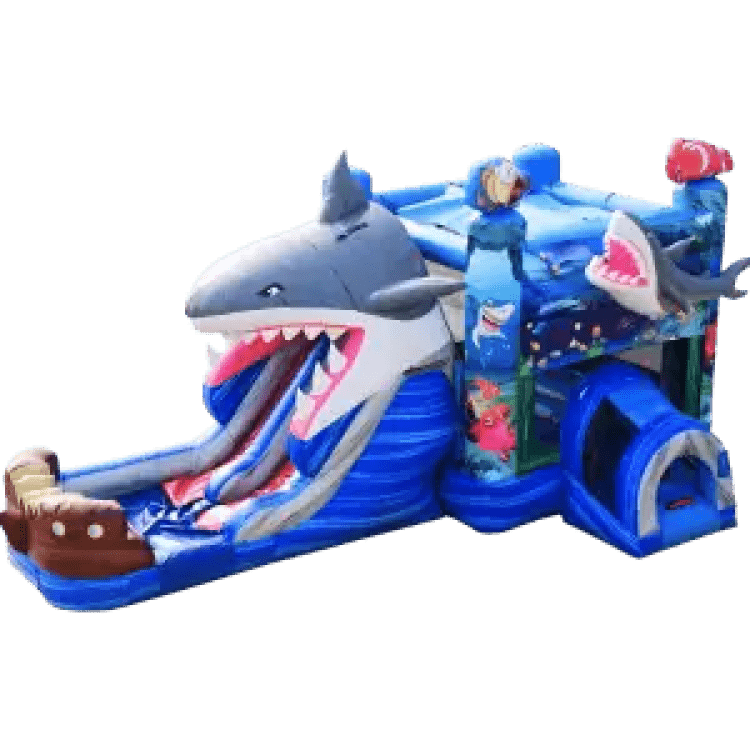 Shark Dual Lane Wet/Dry Combo
