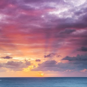 bondi sunrise