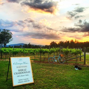 The Carriages Hunter Valley Winery Shiraz Chardonnay