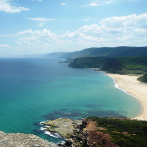 Sydney Royal National Park Wilderness tour