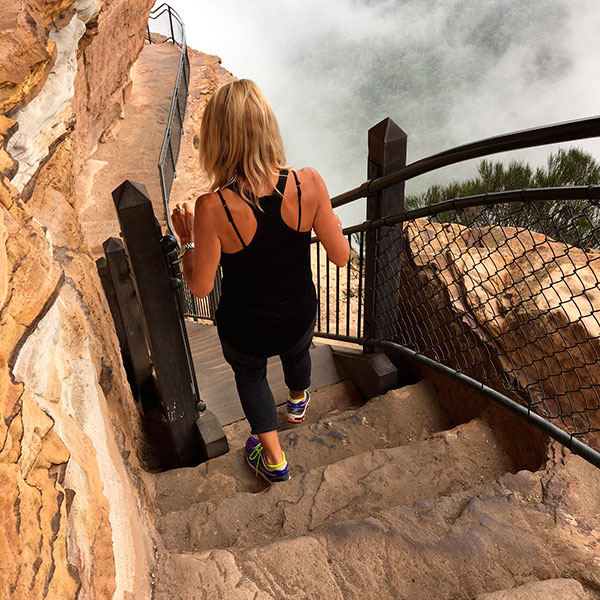 Bush walk on your Private Blue Mountains Tour from Sydney