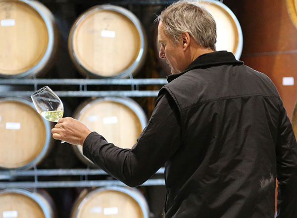 Image of drinking wine from the barrel Tullock vineyard - Hunter Valley Private Tour