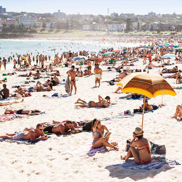 beach tour of sydney bondi eastern suburbs coast