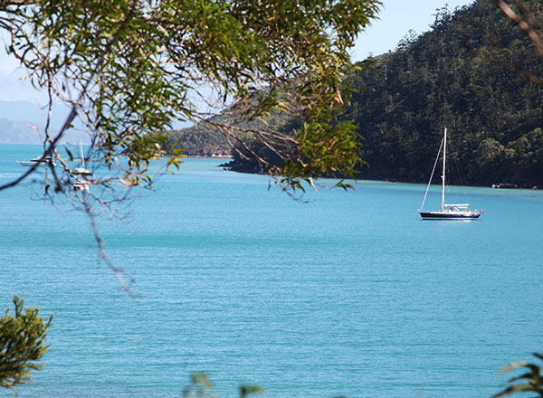 An image of The Count a luxury sailing yacht on Sydney Harbour for your private sailing experience