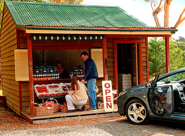 An image of an organic farm south of Sydney as seen on your Southern Highlands tour