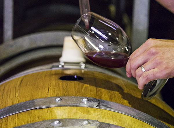 An image of a winery tour south of Sydney as seen on your Southern Highlands tour