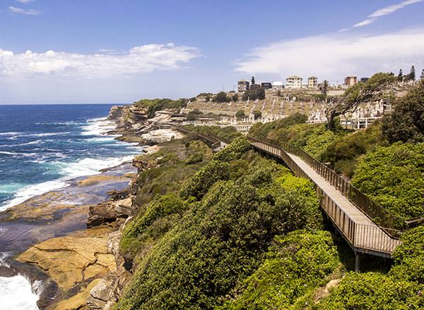 Bondi to Coogee coastal walk