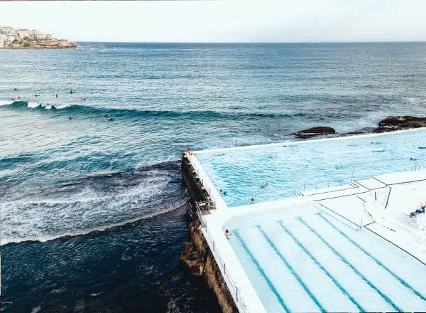 Bondi Icebergs and the surf line up