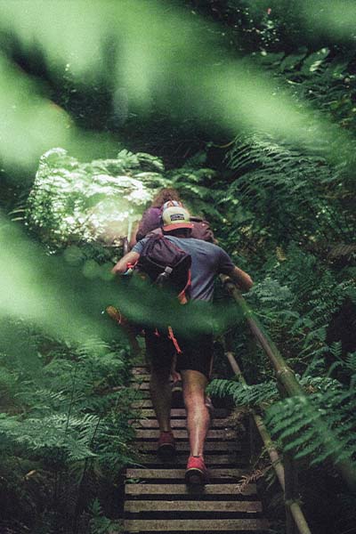 A trail in the Blue Mountains