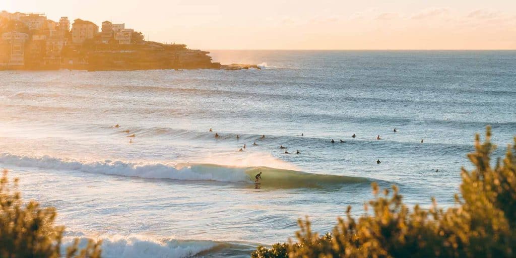 Surfers at Bondi Beach
