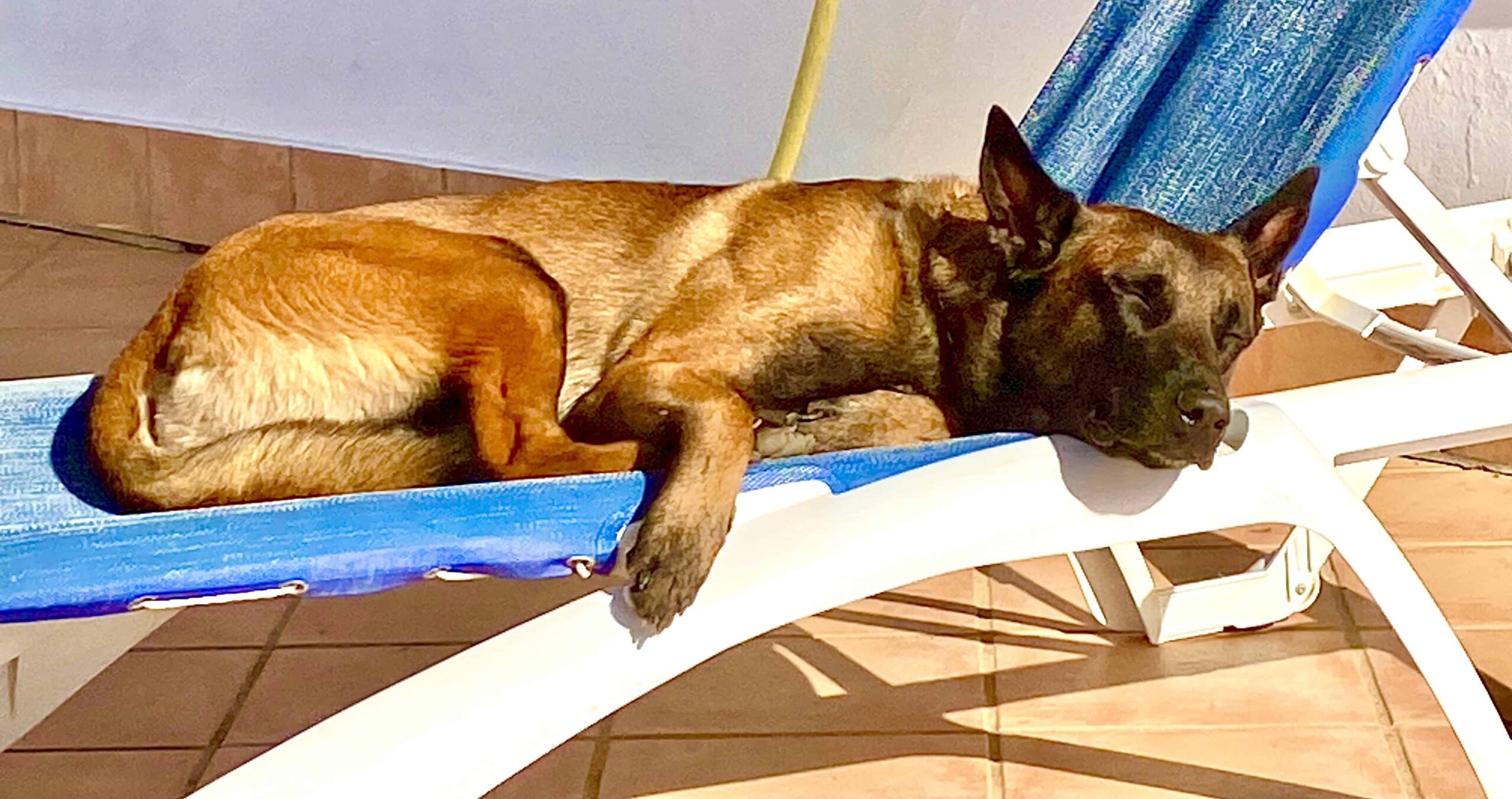 Regeneration - Bedeutung des Ruhetags