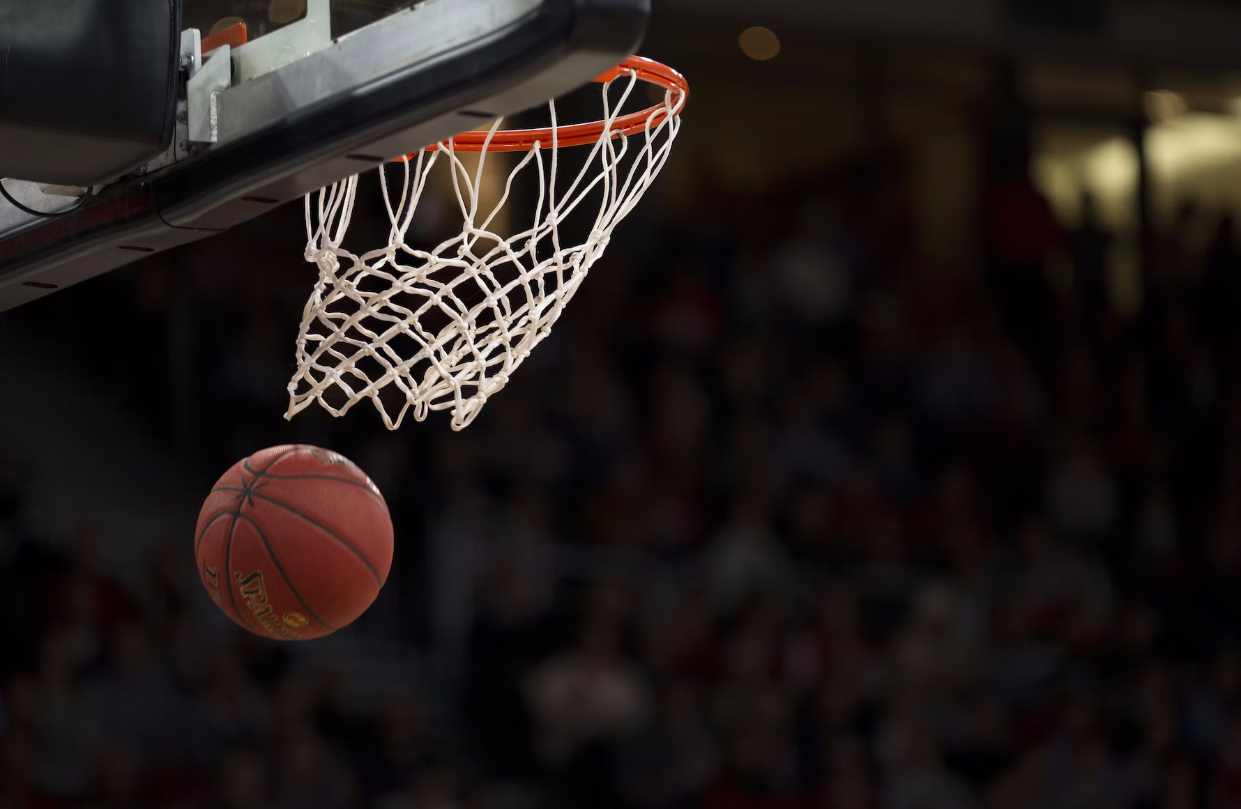 4 Apps Every Sports Fan Needs