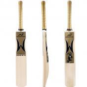 Woodworm reveals sponsored players