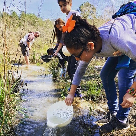 Keen Effect Critical Coastlines Grantees announced
