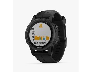 Garmin fēnix 5S Plus