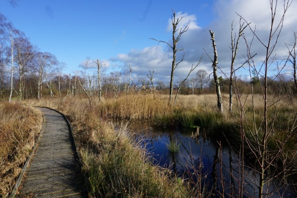 For PEAT&rsquo;S SAKE - INOV-8 to help restore peatlands in fight against climate crisis