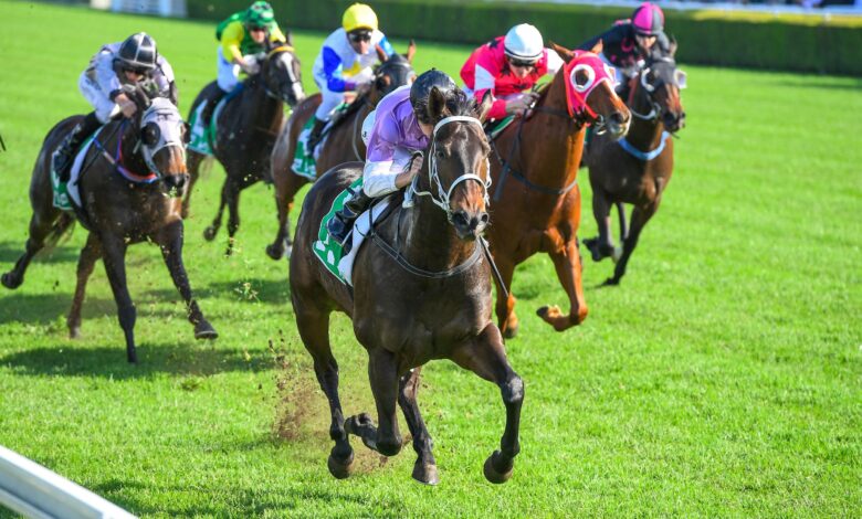 Melbourne Cup: A Betting Guide