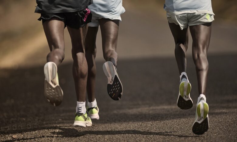 adidas launch the all-new ADIZERO BOSTON 12 and ADIOS 8