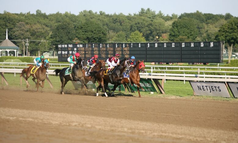 Best 5 Racehorses of All Time to Know About