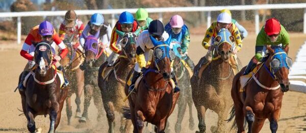 Unlocking the Winning Formula: A Comprehensive Guide to Cheltenham Festival Betting
