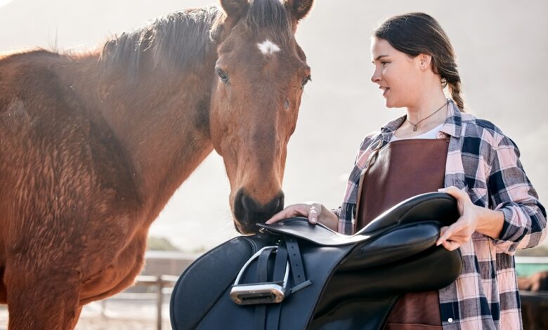 saddle