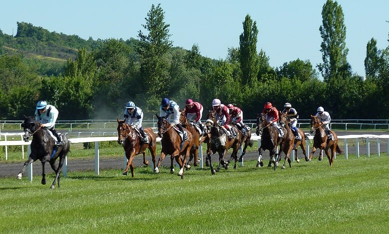 Exciting horse race with jockeys in vibrant silks racing on a sunny day at a scenic outdoor track.