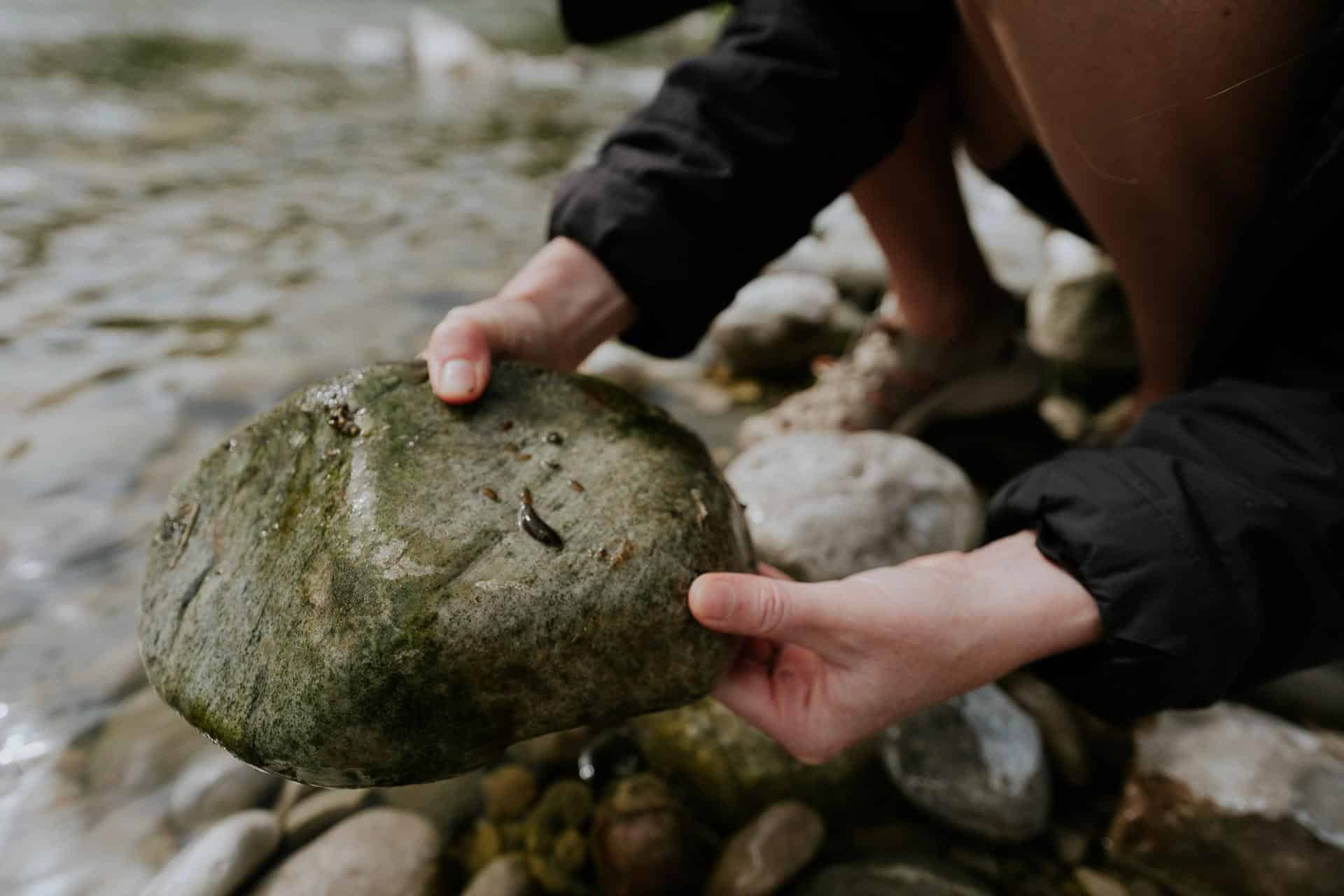 Sarca River Citizen