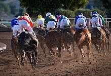 Stay active and thrive: Exploring sports for fitness and fun
