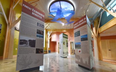 Bringing the Berkshires Inside: The Greylock Glen Exhibit