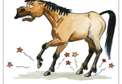 Comic Schild Pferd - Bitte nicht füttern - Dieses Pferd kann davon eine sehr schmerzhafte Hufrehe bekommen. Danke