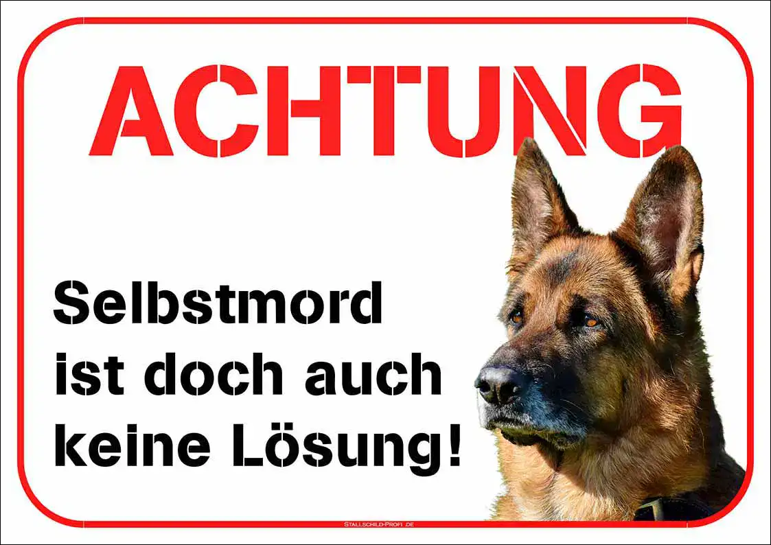 Ein Bild eines Hundeschilds | Selbstmord ist doch auch keine Lösung! mit den Worten achtung.