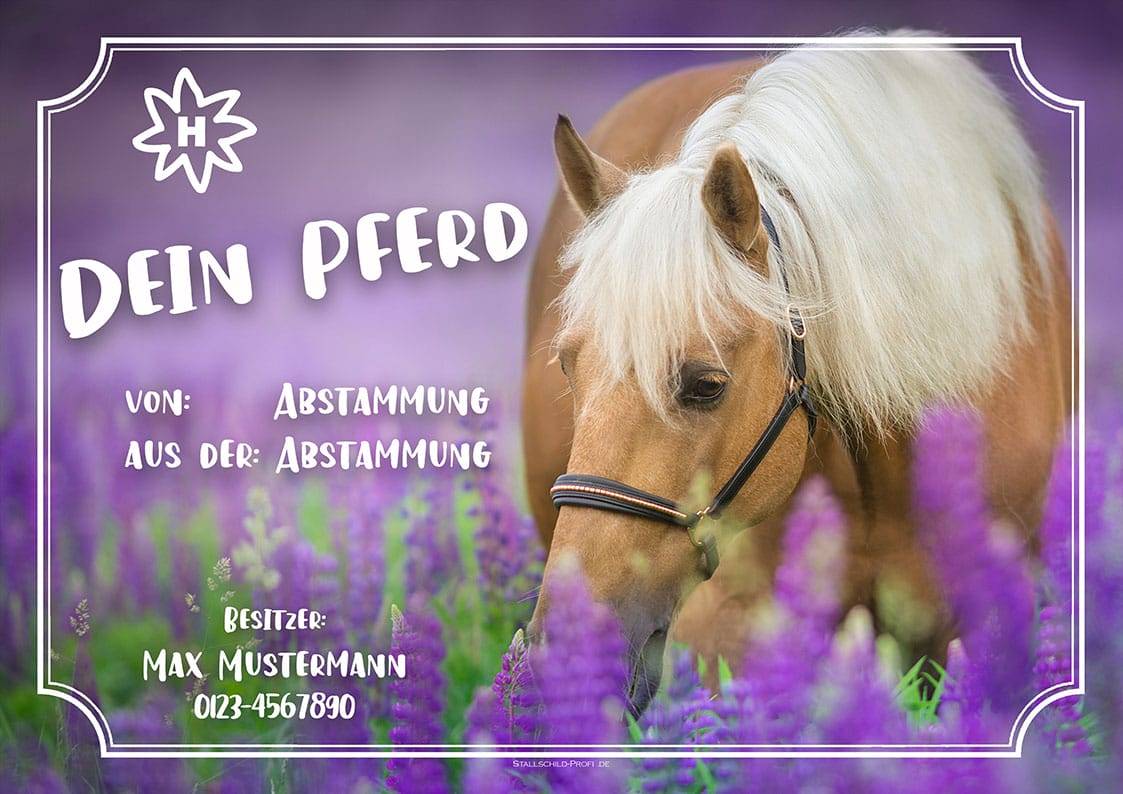 Ein individuelles Boxenschild, DEIN PFERD gestalten lassen, steht in einem Feld voller violetter Blumen. individuelles Boxenschild DEIN PFERD mit Pferdenamen, Abstammung, Brandzeichen