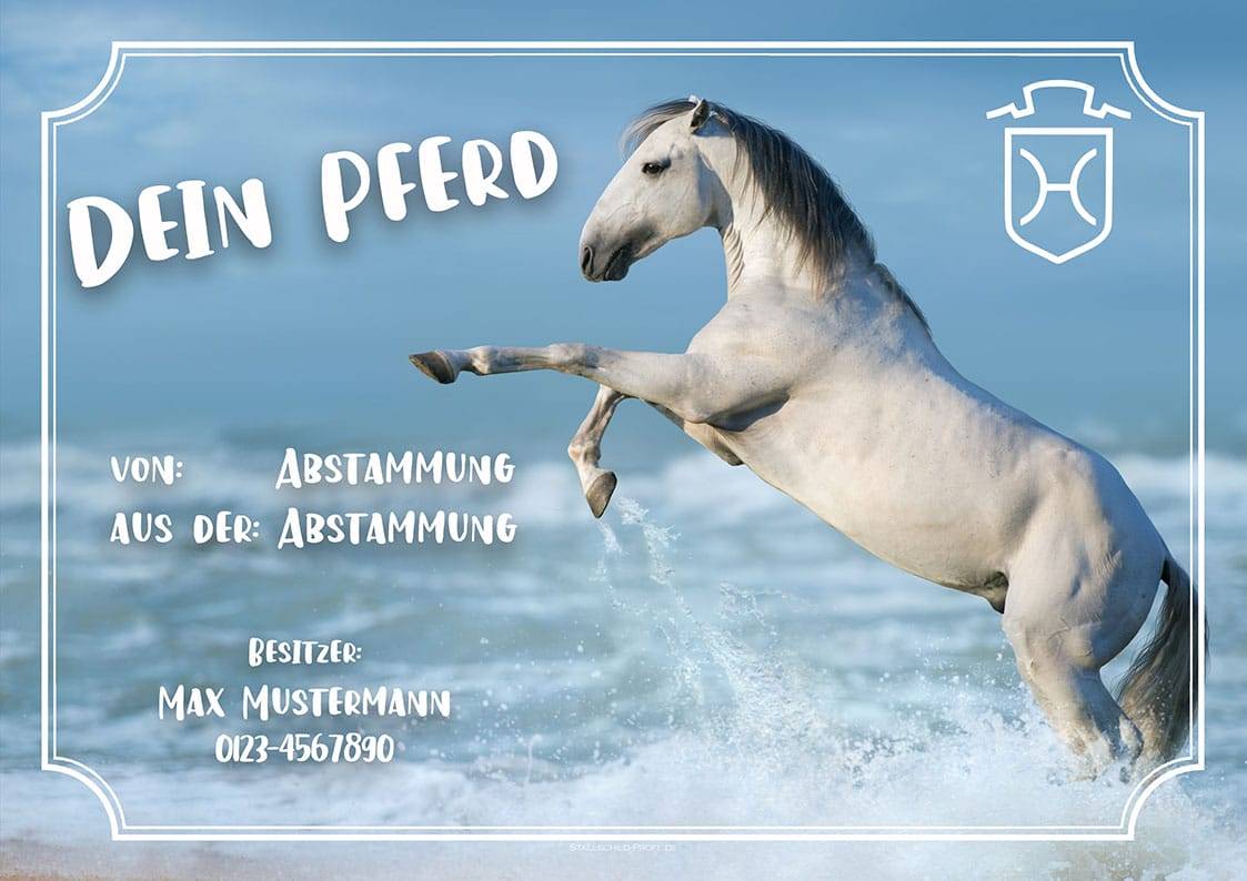 Ein Pferd springt ins Wasser mit dem Produktnamen „individuelles Boxenschild DEIN PFERD gestalten lassen“. individuelles Boxenschild DEIN PFERD mit Pferdenamen, Abstammung, Brandzeichen