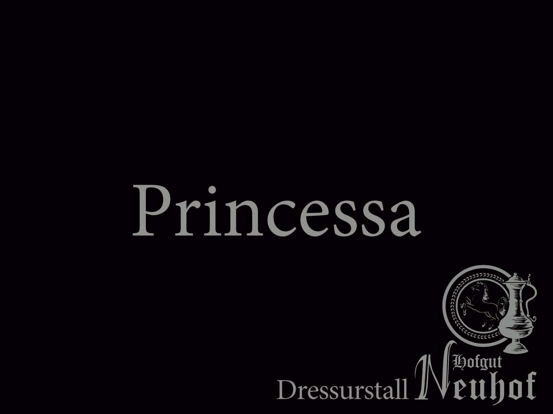 Ein schwarzer Hintergrund mit dem Pferdenamen und Deinem Logo gestalten lassen.